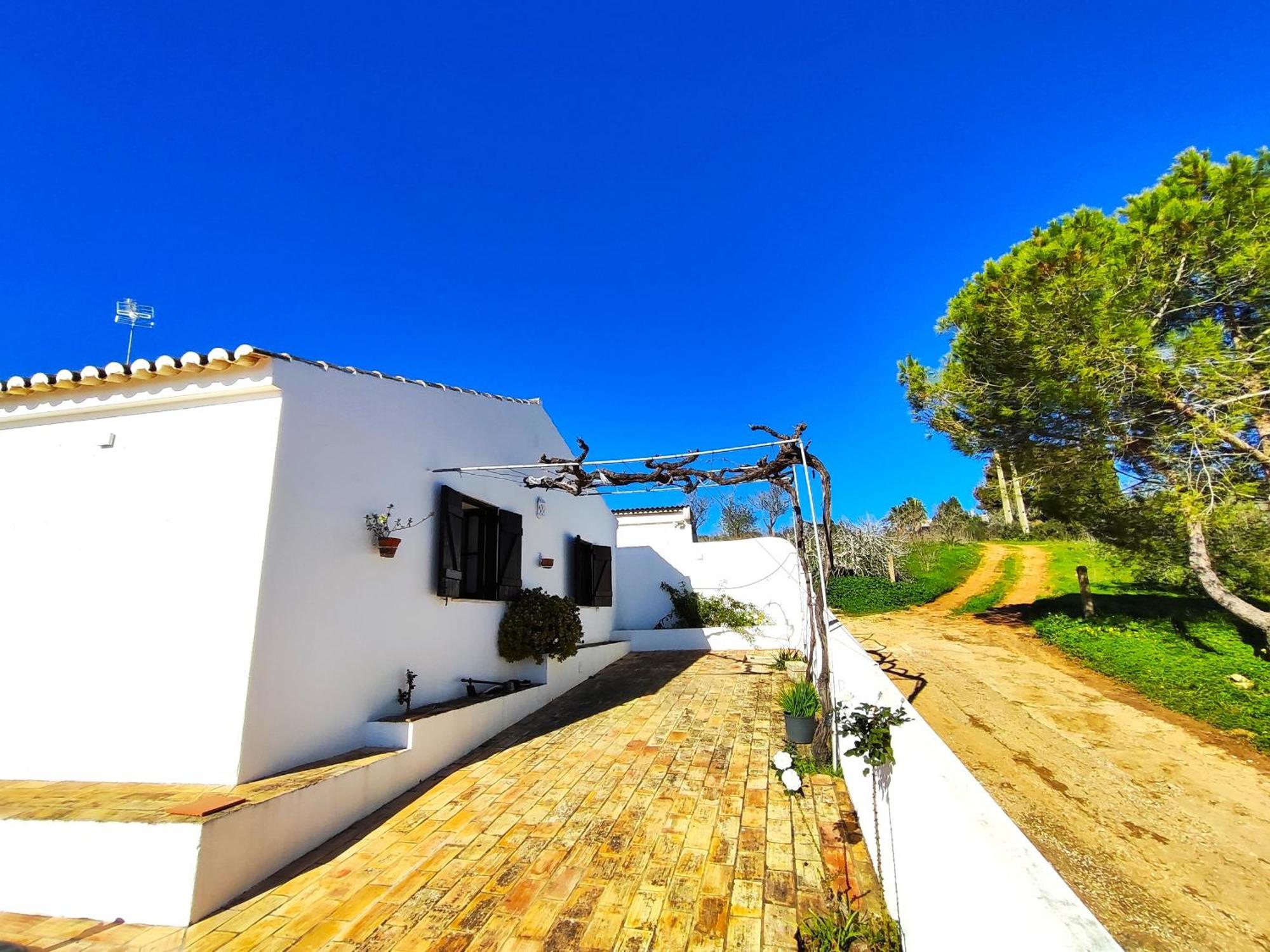 Hight Point Nature 2 By Homing Lagos